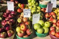 Variety of Apples for Sale 1