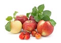 Variety of apples on white background Royalty Free Stock Photo