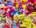 A variety of artificial flowers. Colorful background of flowers.