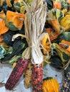 A variety of dried corn, gourds and winter squash Royalty Free Stock Photo