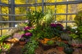 A variety of autumn flowers in ceramic pots and vegetables in baskets stand on a shelf covered with burlap and straw. Royalty Free Stock Photo