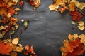 A variety of autumn leaves of twigs and berries laid out on dark