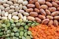 Variety of beans and legumes including brown and red lentils, white haricot beans, red speckled beans and green split peas Royalty Free Stock Photo