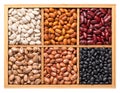 Variety of dried common beans, pulse assortment, seeds in a wooden box