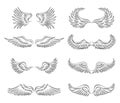 Variety of beautiful wings set Royalty Free Stock Photo