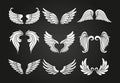 Variety of beautiful wings set Royalty Free Stock Photo