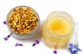 A variety of bee products. Honey, pollen, royal jelly, Apitherapy. Healthy products made by bees.