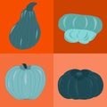 Variety of blue pumpkins on orange