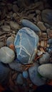 Variety of bluish-gray rocks with dry foliage.