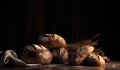 A Variety of Bread Loaves with Dark Space for Text Royalty Free Stock Photo