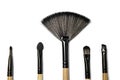 Variety brushes for makeup