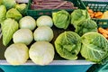 Variety of cabbages and carrots are on display at market Royalty Free Stock Photo