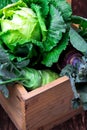 Variety of cabbages in wooden basket on brown background. Harvest. Close up. Royalty Free Stock Photo