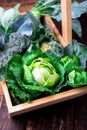 Variety of cabbages in wooden basket on brown background. Harvest. Close up. Royalty Free Stock Photo