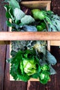 Variety of cabbages in wooden basket on brown background. Harvest. Top view. Royalty Free Stock Photo