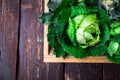 Variety of cabbages in wooden basket on brown background. Harvest. Top view. Royalty Free Stock Photo