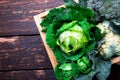 Variety of cabbages in wooden basket on brown background. Harvest. Top view. Royalty Free Stock Photo