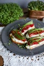 A variety of cheese cream sandwiches assorted with micro greens and grilled peppers on a plate. Royalty Free Stock Photo