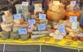 Variety of cheese