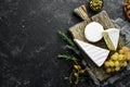 Variety Cheese soft brie and blue. Top view. Royalty Free Stock Photo