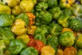 Variety of Chiles Habaneros Royalty Free Stock Photo