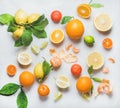 Variety of citrus fruit for making healthy smoothie or juice Royalty Free Stock Photo
