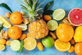 Variety of citrus fruits Royalty Free Stock Photo