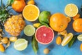 Variety of citrus fruits Royalty Free Stock Photo