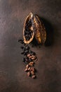 Variety of cocoa beans Royalty Free Stock Photo