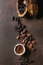 Variety of cocoa beans Royalty Free Stock Photo