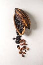 Variety of cocoa beans Royalty Free Stock Photo