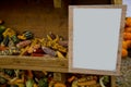 A variety of colored decorative corn at the market place. Royalty Free Stock Photo