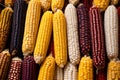 Variety of colorful corn. Autumn market. Generative AI