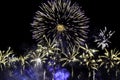 Variety colorful firework on the night sky background. Salute with yellow and blue flashes.