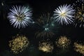 Variety colorful firework on the night sky background. Salute with yellow and blue flashes.