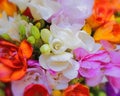 Colorful freesia flowers top view, natural background Royalty Free Stock Photo