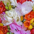 Colorful freesia flowers top view, natural background Royalty Free Stock Photo