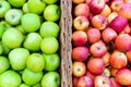 Variety of colorful fresh fruits red apple, green apple on the local market shelf Royalty Free Stock Photo