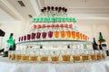 Variety of colorful green yellow and red alcohol shots in small glasses standing in row on a glass stand Royalty Free Stock Photo