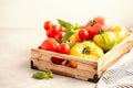 Variety of colorful organic tomatoes