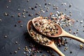 Variety of colorful spices in wooden spoons. Sea salt, mixed pepper, cardamon and mustard seeds Royalty Free Stock Photo