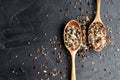 Variety of colorful spices in wooden spoons. Sea salt, mixed pepper, cardamon and mustard seeds Royalty Free Stock Photo