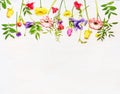 Variety of colorful spring flowers lined Border, space text, top view