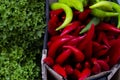 Lettuce leaf, green and red hot chilli pepper in cartons close up Royalty Free Stock Photo