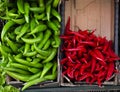 Variety of colorful vegetables green red hot chilli pepper in cartons close up Royalty Free Stock Photo