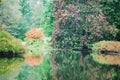 Variety of colors reflecting in Lake Marmo in the fall at the Morton Arboretum. Royalty Free Stock Photo