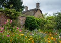 Variety of colourful wild flowers including magenta coloured mallow trifida with green eye, at Hidcote Manor in the Cotswolds, UK Royalty Free Stock Photo