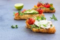 Variety of croissant sandwiches with grilled pepper, tomatoes, smoked salmon, turkey, avocado and arugula served with micro green Royalty Free Stock Photo
