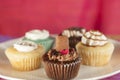Variety of Cup cakes Royalty Free Stock Photo