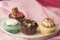 Variety of Cup cakes Royalty Free Stock Photo